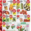 PINGO DOCE Lojas Pequenas 4 a 10 agosto p4.jpg